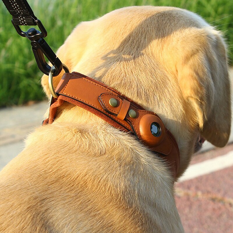 Hundehalsband aus Leder für Apple AirTag